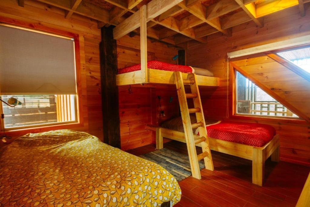 Sirena Insolente Hostel & Suites Пічилему Екстер'єр фото